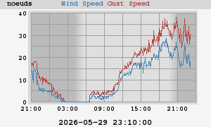 wind