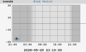 Wind Vector