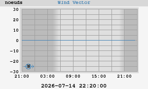 Wind Vector