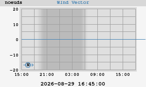 Wind Vector