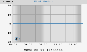 Wind Vector