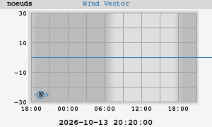 Wind Vector
