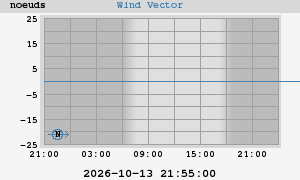 Wind Vector