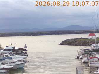 Video capture